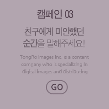 캠페인3