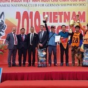 훈련견 킴바 베트남 도그쇼에서 Best In Show,