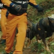 드라마 '지리산' 훈련견 출연