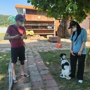 방문 행동교정 수업
