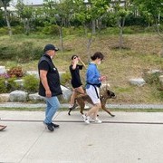 마리노이즈 방문행동교정