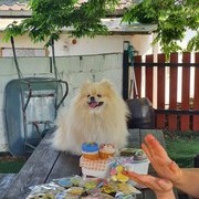 왜관 생일파티