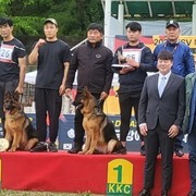 견명 나비 