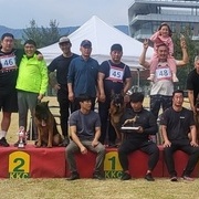 Roy 한국애견협회 Korea siger show 가을