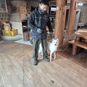 [위탁교육] 진도견(순심이) 복종 훈련
