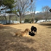 벗 아카데미 자유시간