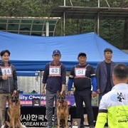 2024 KKC 세퍼트 특별 전람회 성견 암조 1석 나