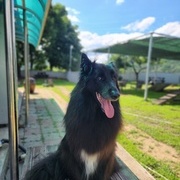 그로넨달 테디 졸업 전 목욕 