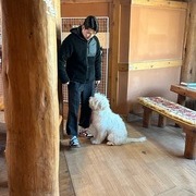 방문행동교정