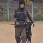 훈련