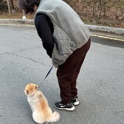 포메 방문훈련