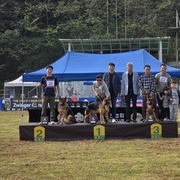 2024 KKC 세퍼트 특별 전람회 유견 B 수조 2석