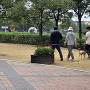 소장님과 함께 하는 방문 행동교정