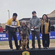 매직