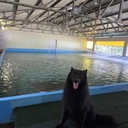 왜관 수영장