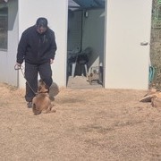 1:1 맞춤형 자격증반 수업