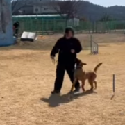 자격증반(고등학생) 복종 훈련
